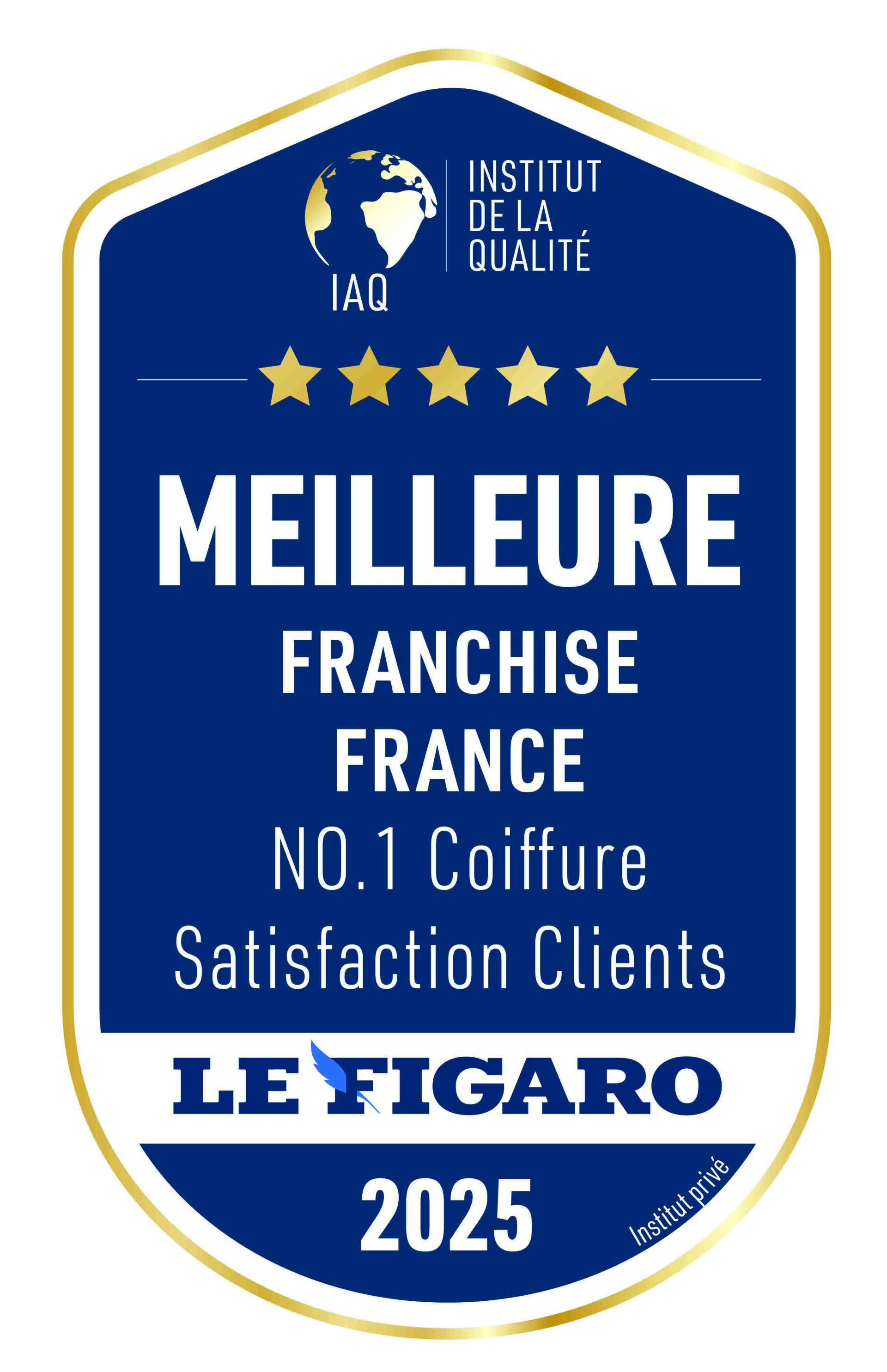 jean louis david figaro